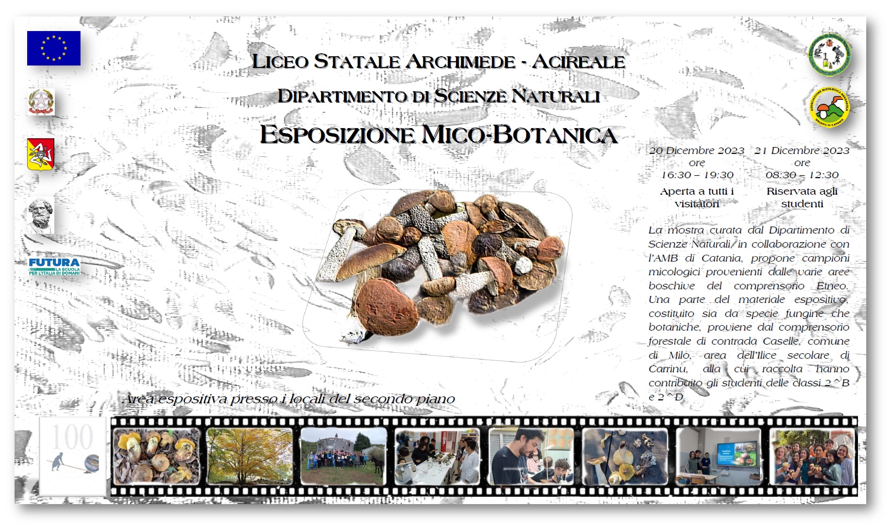 Locandina micologica vers.2