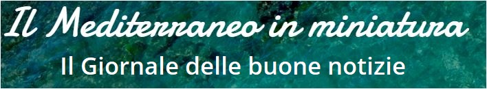 blog il mediterraneo in miniatura
