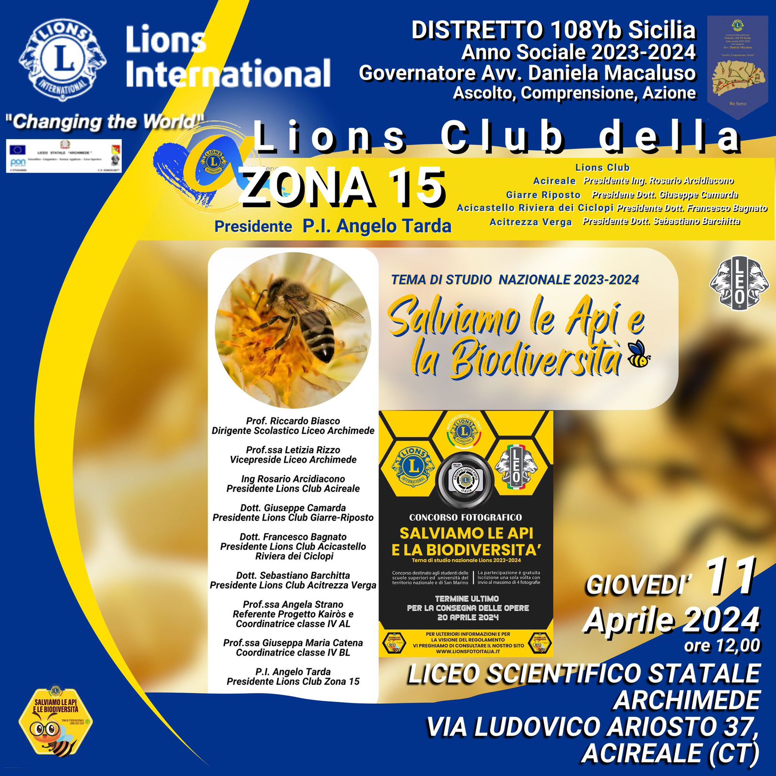 Lions2